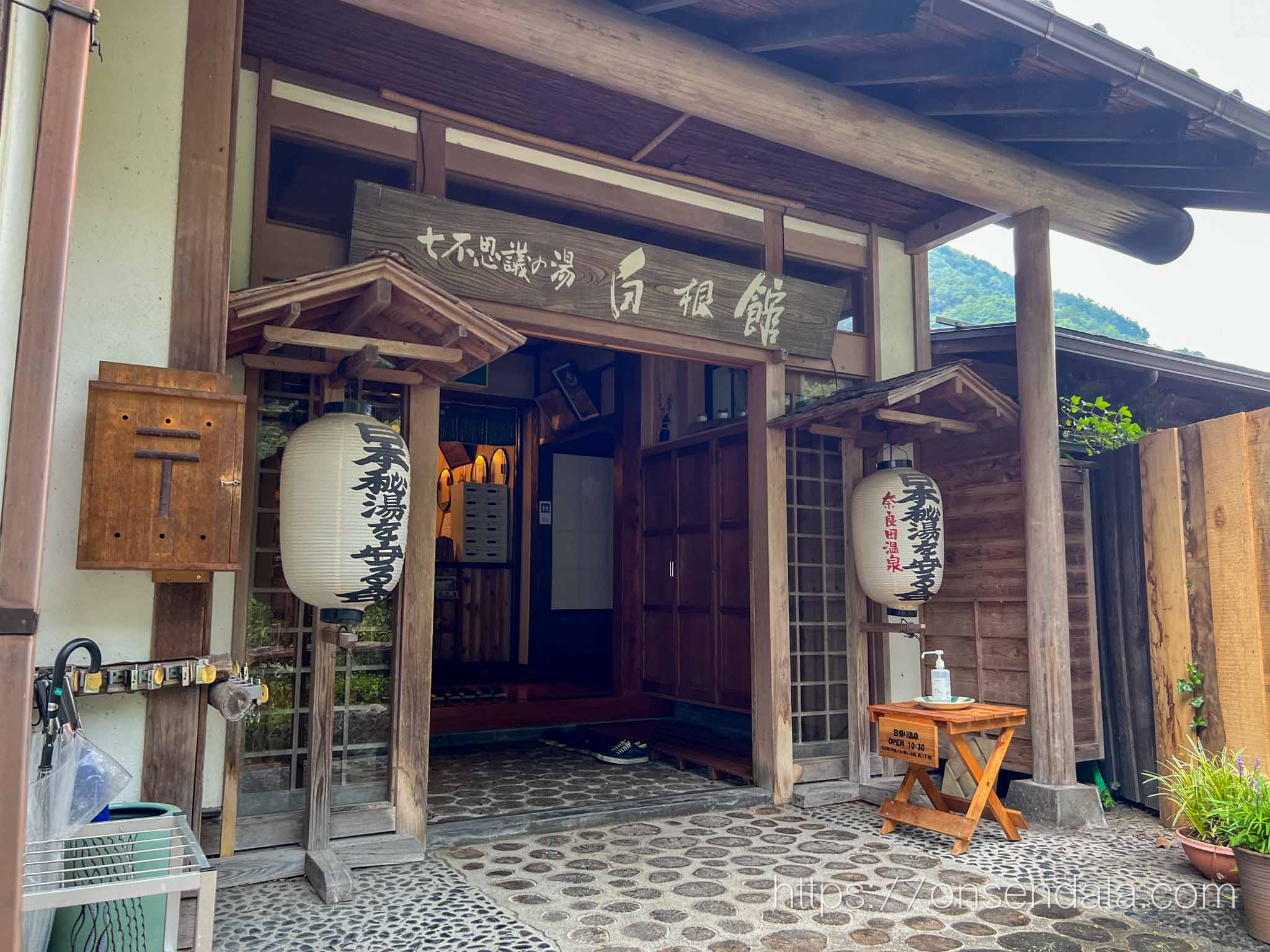 山梨県　奈良田温泉 七不思議の湯 白根館